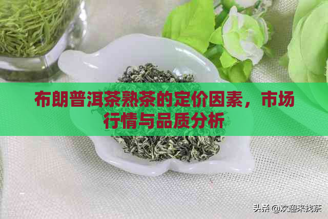 布朗普洱茶熟茶的定价因素，市场行情与品质分析