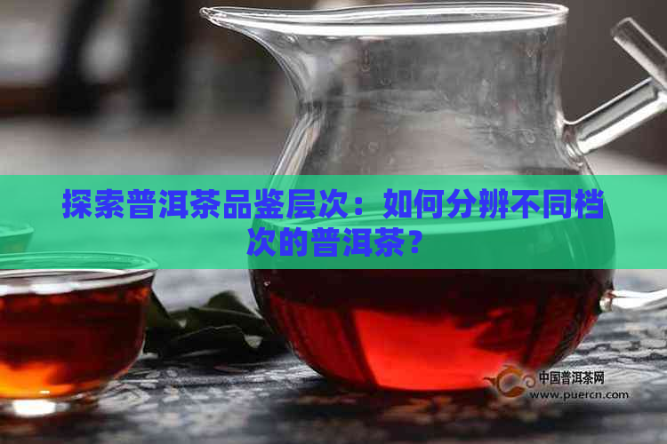 探索普洱茶品鉴层次：如何分辨不同档次的普洱茶？