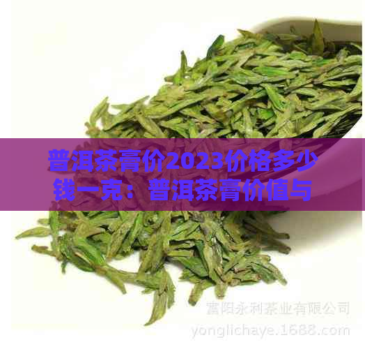 普洱茶膏价2023价格多少钱一克：普洱茶膏价值与价格表一览