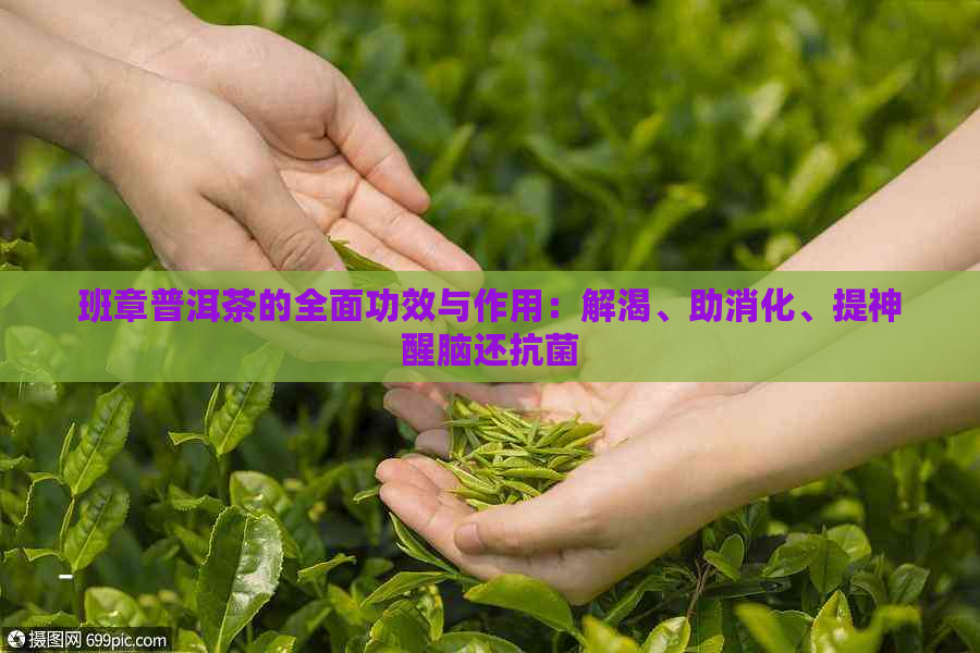 班章普洱茶的全面功效与作用：解渴、助消化、提神醒脑还抗菌