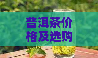 普洱茶价格及选购指南：了解最新市场行情和品鉴技巧