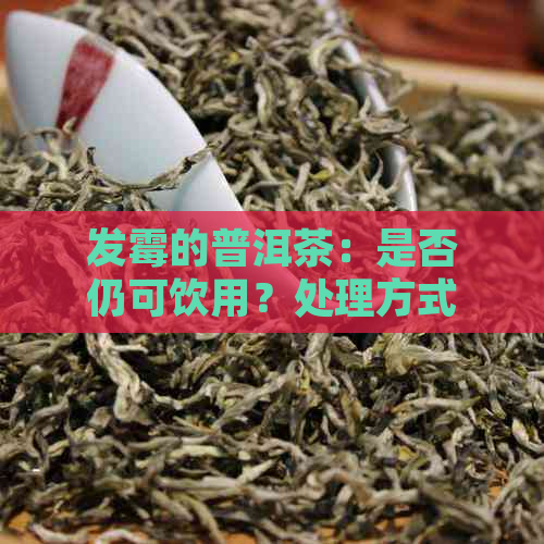 发霉的普洱茶：是否仍可饮用？处理方式及潜在健风险解析