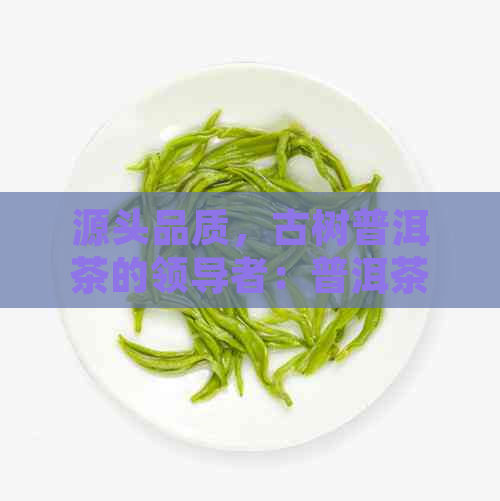 源头品质，古树普洱茶的领导者：普洱茶源茶厂深度探索