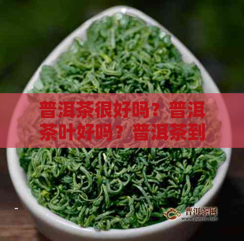 普洱茶很好吗？普洱茶叶好吗？普洱茶到底好不好？普洱茶真的好喝吗？