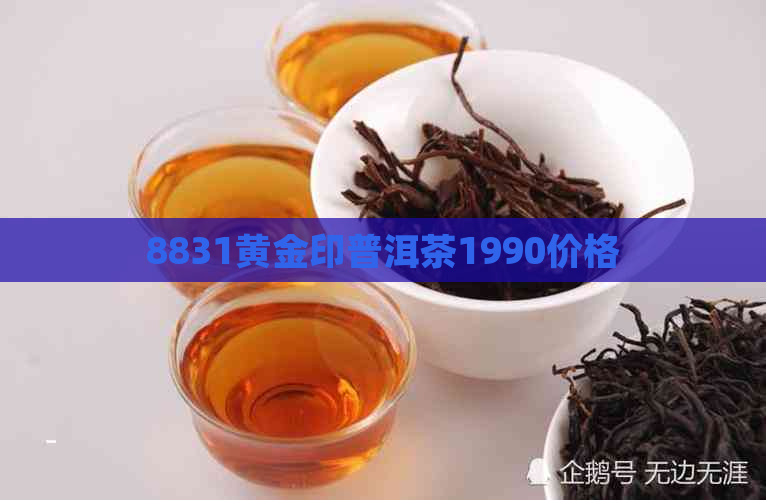 8831黄金印普洱茶1990价格