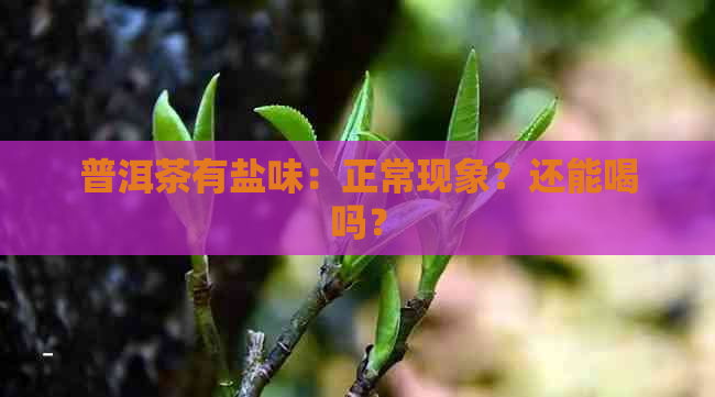 普洱茶有盐味：正常现象？还能喝吗？