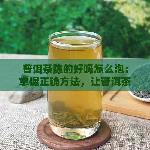 普洱茶陈的好吗怎么泡：掌握正确方法，让普洱茶更美味