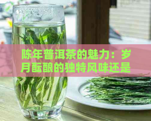 陈年普洱茶的魅力：岁月酝酿的独特风味还是过时品味？