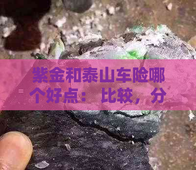 紫金和泰山车险哪个好点： 比较，分析与选择