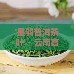 '墨羽普洱茶叶' - 云南高山熟茶小饼价格