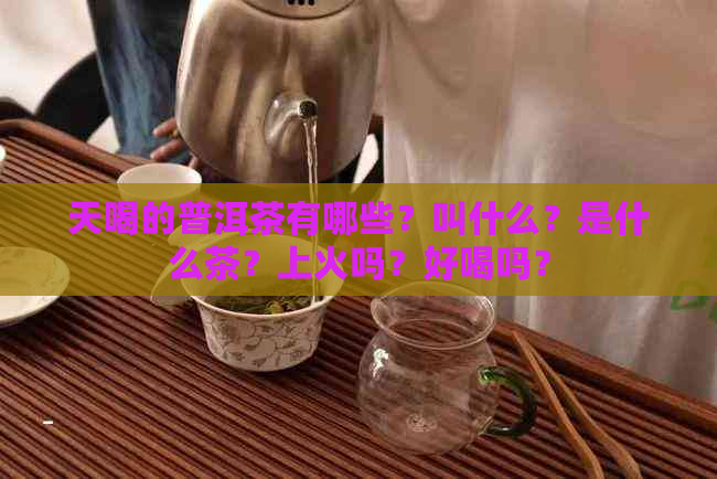 天喝的普洱茶有哪些？叫什么？是什么茶？上火吗？好喝吗？