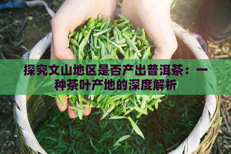 探究文山地区是否产出普洱茶：一种茶叶产地的深度解析