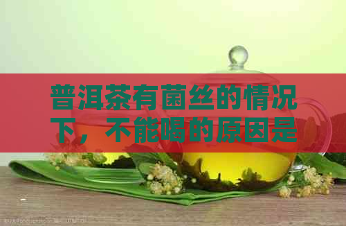 普洱茶有菌丝的情况下，不能喝的原因是什么？