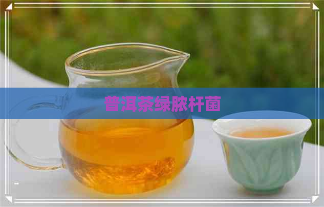 普洱茶绿脓杆菌