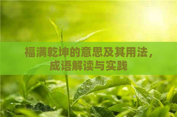 福满乾坤的意思及其用法，成语解读与实践