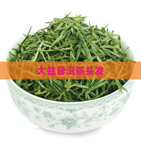 大益普洱茶头发