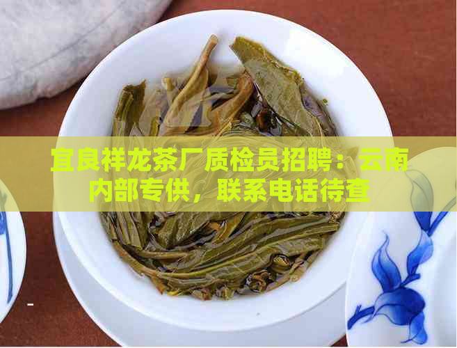 宜良祥龙茶厂质检员招聘：云南内部专供，联系电话待查