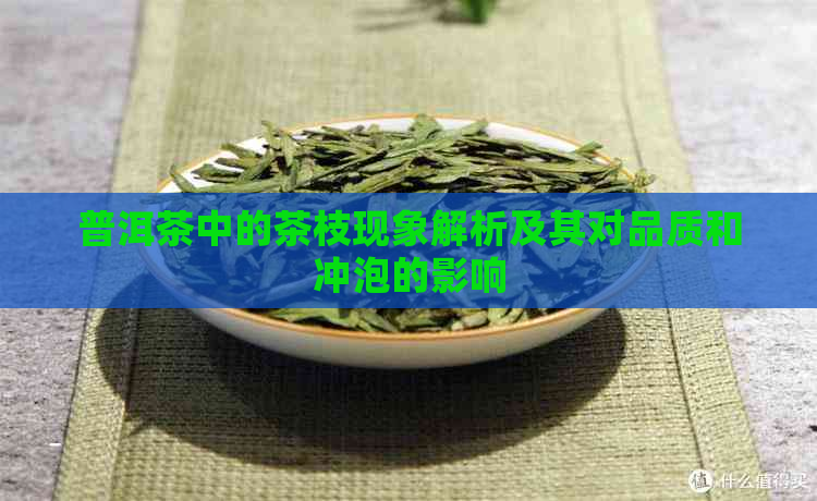 普洱茶中的茶枝现象解析及其对品质和冲泡的影响