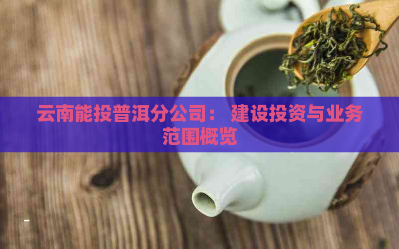 云南能投普洱分公司： 建设投资与业务范围概览