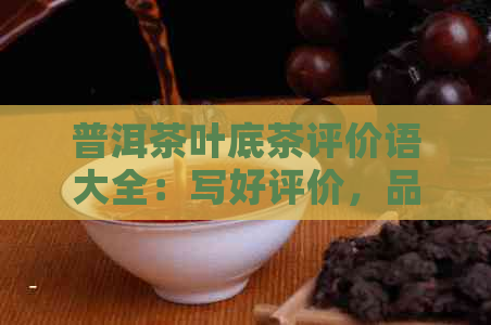 普洱茶叶底茶评价语大全：写好评价，品鉴更深入