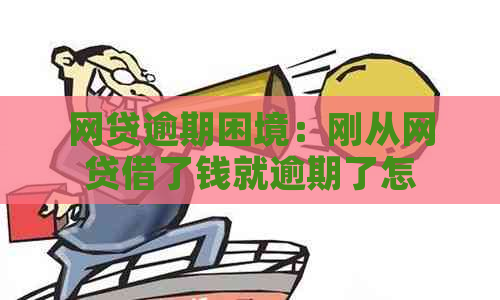 网贷逾期困境：刚从网贷借了钱就逾期了怎么办？