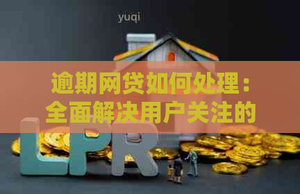 逾期网贷如何处理：全面解决用户关注的热点问题与应对策略