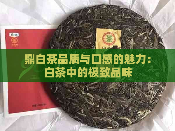 鼎白茶品质与口感的魅力：白茶中的极致品味