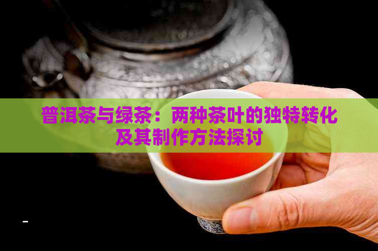 普洱茶与绿茶：两种茶叶的独特转化及其制作方法探讨