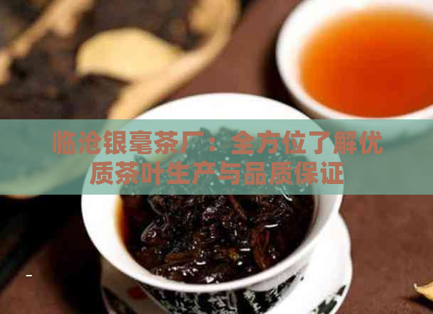 临沧银毫茶厂：全方位了解优质茶叶生产与品质保证