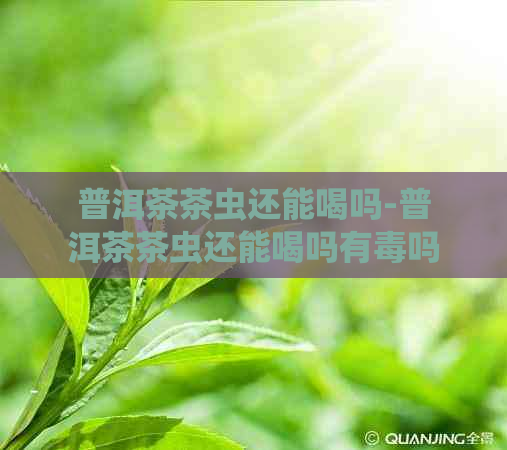 普洱茶茶虫还能喝吗-普洱茶茶虫还能喝吗有吗