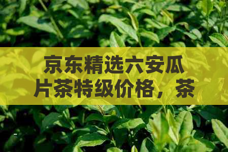 京东精选六安瓜片茶特级价格，茶叶批发货源尽在