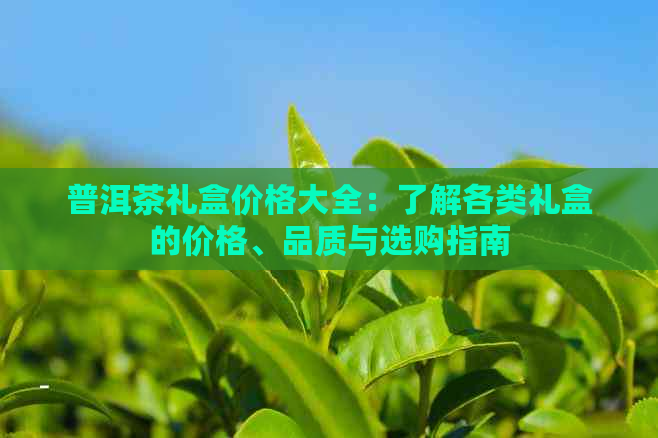 普洱茶礼盒价格大全：了解各类礼盒的价格、品质与选购指南