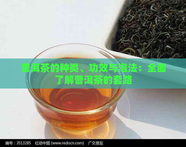 普洱茶的种类、功效与泡法：全面了解普洱茶的套路