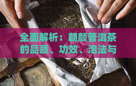 全面解析：朝颜普洱茶的品质、功效、泡法与品鉴，看这篇就够了！