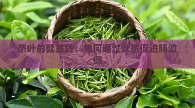 茶叶的健益处：如何通过饮茶促进肠道健