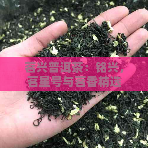 茗兴普洱茶：铭兴，茗星号与茗香精选