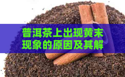 普洱茶上出现黄末现象的原因及其解决方法，让普洱茶品质更佳