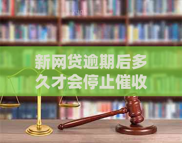 新网贷逾期后多久才会停止电话？了解你的权益与应对策略