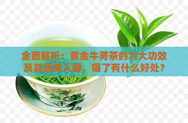 全面解析：黄金牛蒡茶的六大功效及其适用人群，喝了有什么好处？