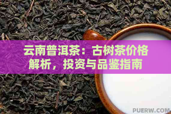 云南普洱茶：古树茶价格解析，投资与品鉴指南