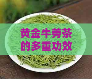 黄金牛蒡茶的多重功效与养生作用：如何充分利用其缓衰老的效果