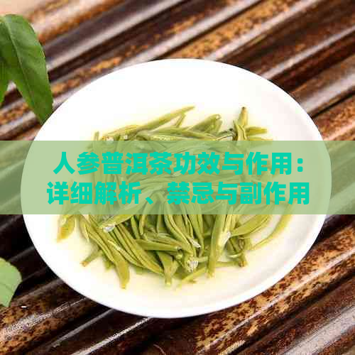 人参普洱茶功效与作用：详细解析、禁忌与副作用