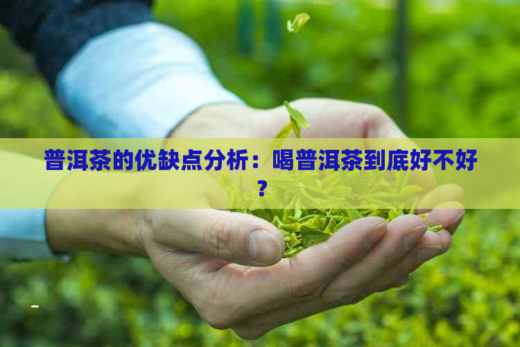 普洱茶的优缺点分析：喝普洱茶到底好不好？