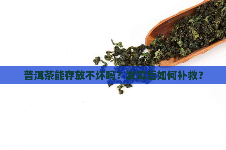 普洱茶能存放不坏吗？发霉后如何补救？