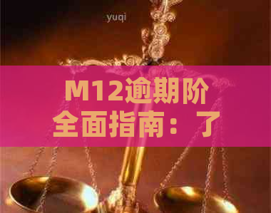 M12逾期阶全面指南：了解各个阶特点、影响及应对策略