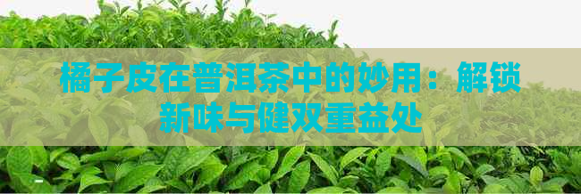 橘子皮在普洱茶中的妙用：解锁新味与健双重益处