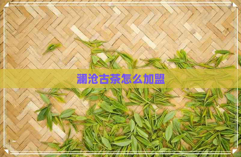 澜沧古茶怎么加盟