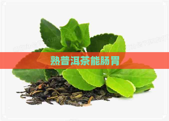 熟普洱茶能肠胃