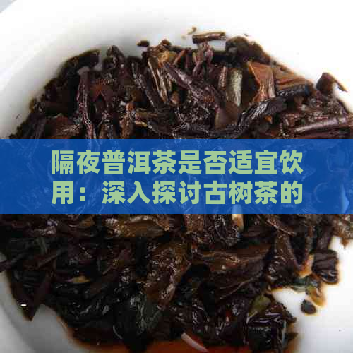 隔夜普洱茶是否适宜饮用：深入探讨古树茶的特殊魅力