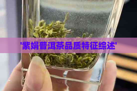 '紫娟普洱茶品质特征综述'